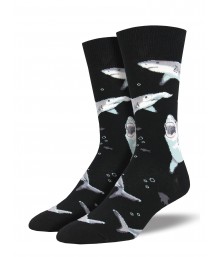 Men's Socks - Shark Chums
